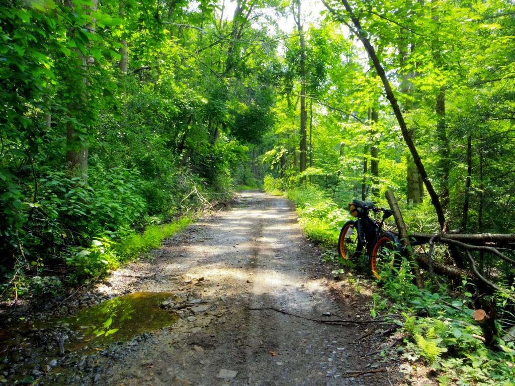 Dirt road in West Virginia