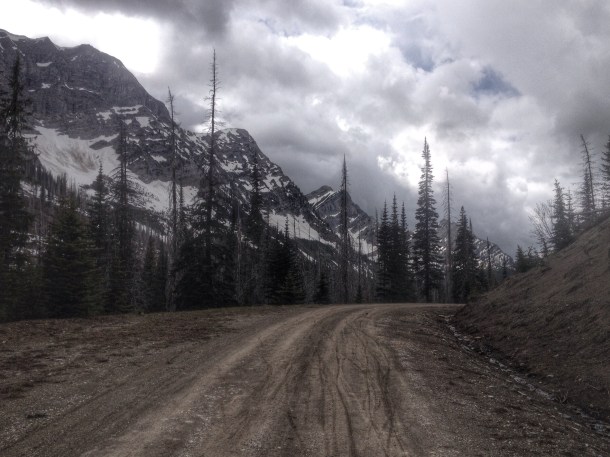 14456613189_3472e4a98d_o