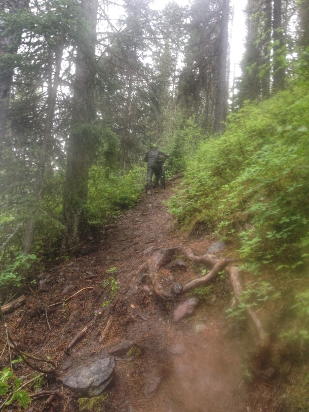 14456624578_81d66bd309_o