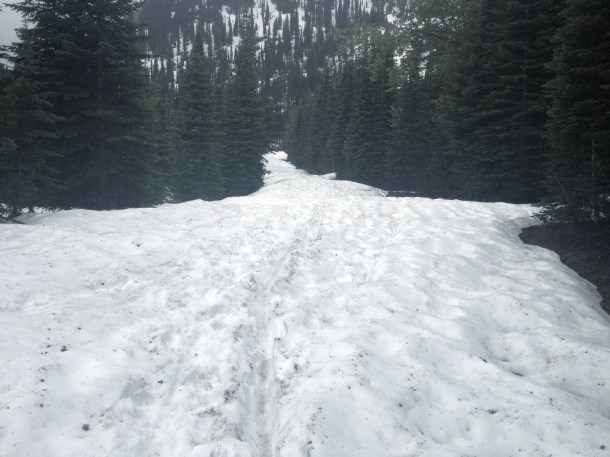 14642878532_9b7f86d8af_o