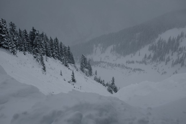 DSCF2568