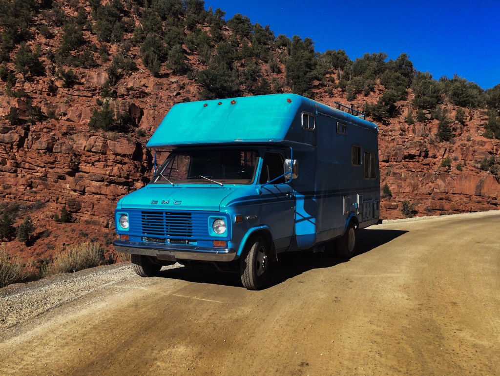 The Great Blue Shark Project