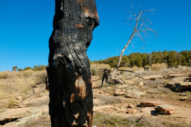 040715 Colorado AZT-35