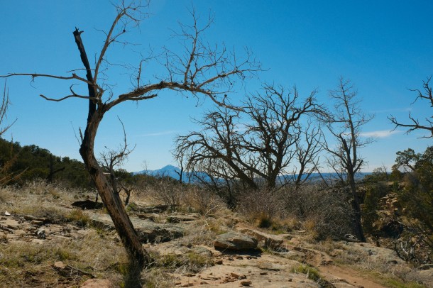 040715 Colorado AZT-38