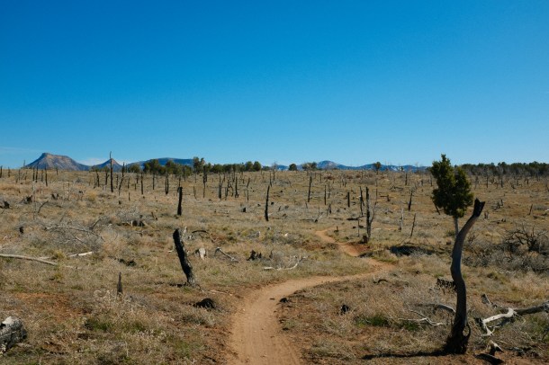 040715 Colorado AZT-39