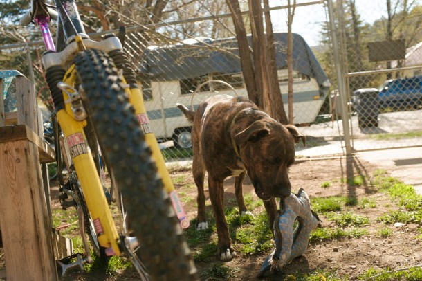 040715 Colorado AZT-70