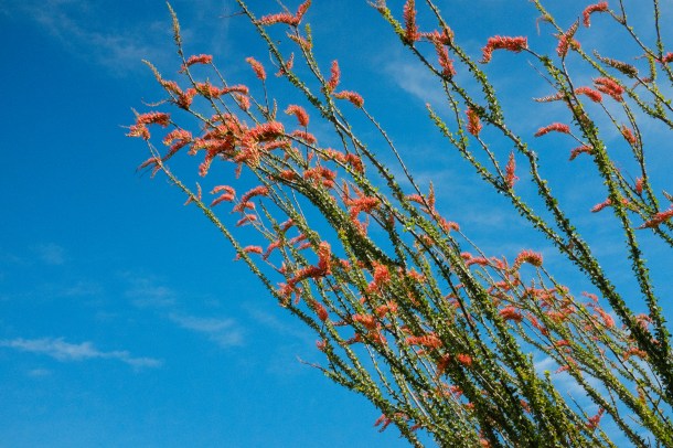 040715 Colorado AZT-112