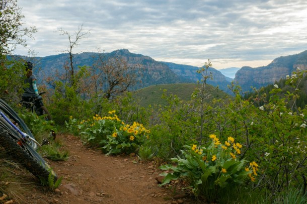 050415 Forest Hollow-2