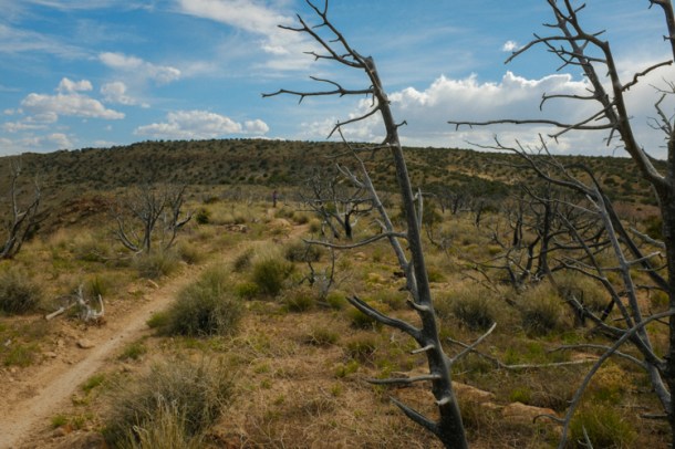 051215 Zion Curtain-7