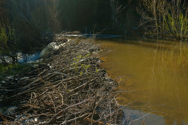 150609 Thompson Divide-14