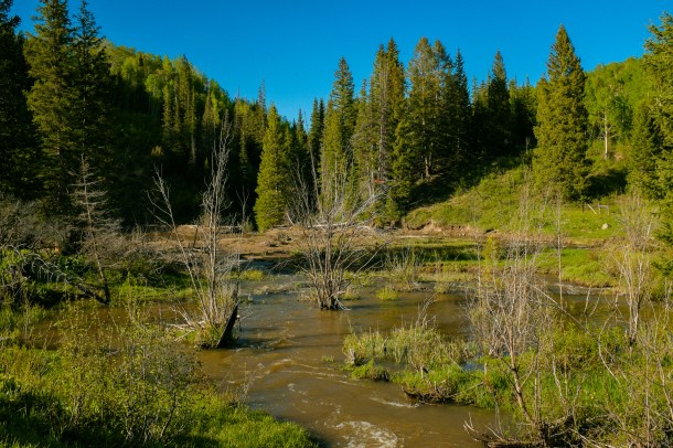 150609 Thompson Divide-4