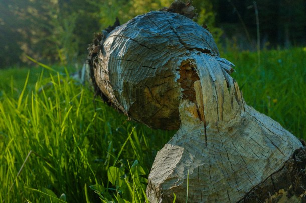 150609 Thompson Divide-9