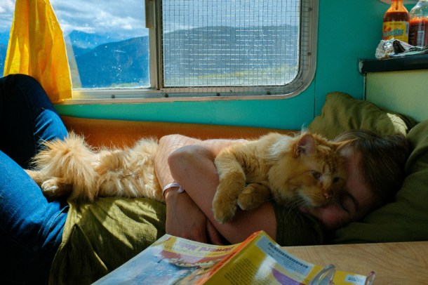 150926_GrandTraverseSharkThompson_HR-20