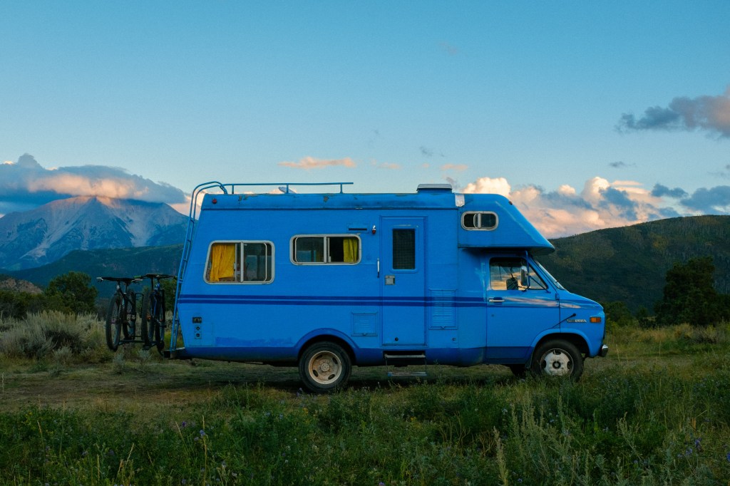 Five Months in the Shark