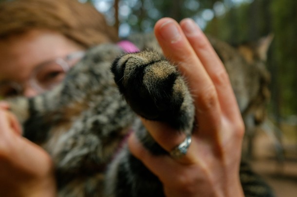 150926_GrandTraverseSharkThompson_HR-6