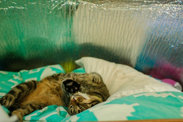 151020_SpoogsGroosel_HR-2