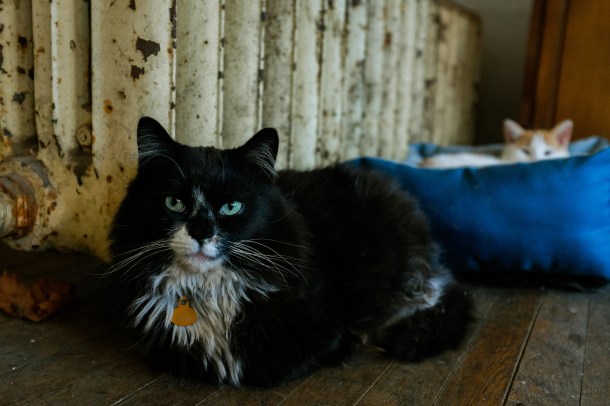 151208_Laurel GAP Trail_HR-24