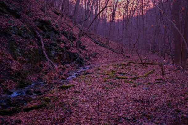 151208_Laurel GAP Trail_HR-30