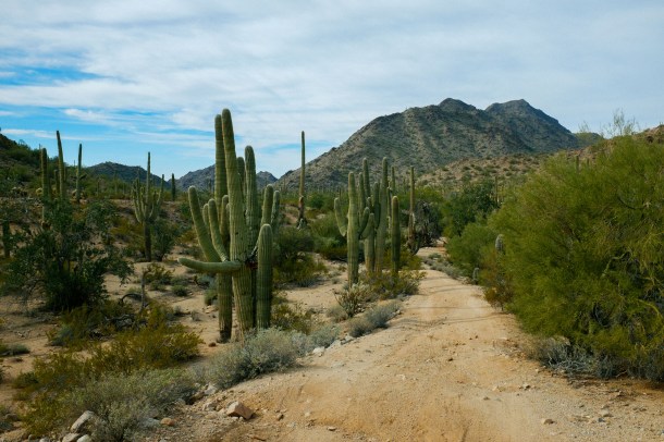 151218_Phoenix-Ajo_HR-13