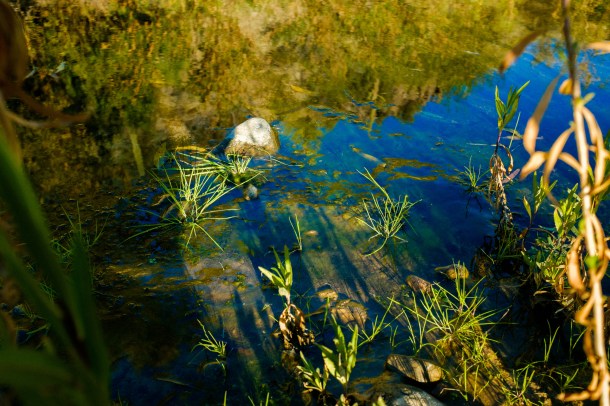 151218_Sedona-Black Canyon_HR-44