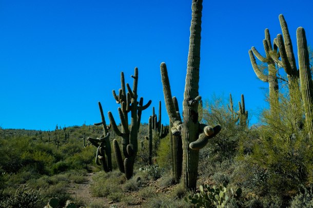 151218_Sedona-Black Canyon_HR-51