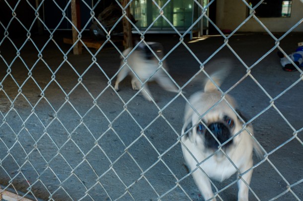 151231_San Felipe_HR-13