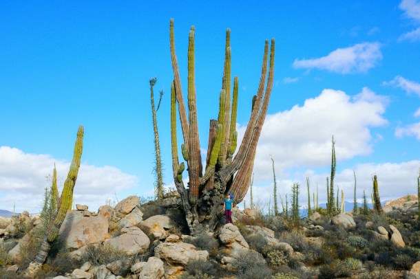 160107_Highway 5 Coco_HR-40