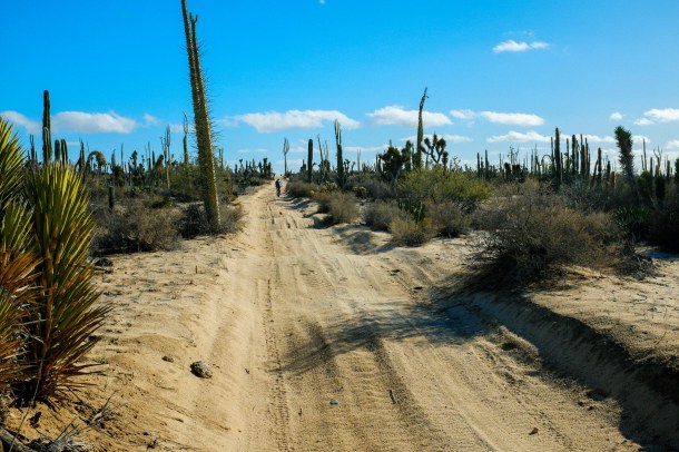 160107_Highway 5 Coco_HR-42