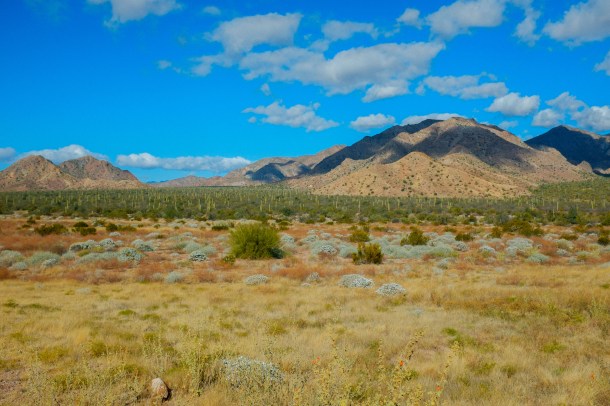 160115_BLA-Guerro_HR-17