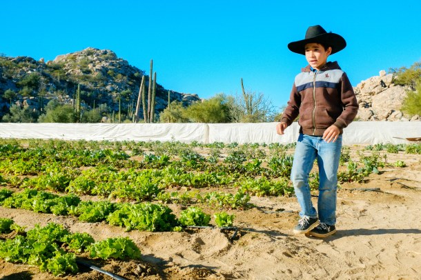 160115_BLA-Guerro_HR-35