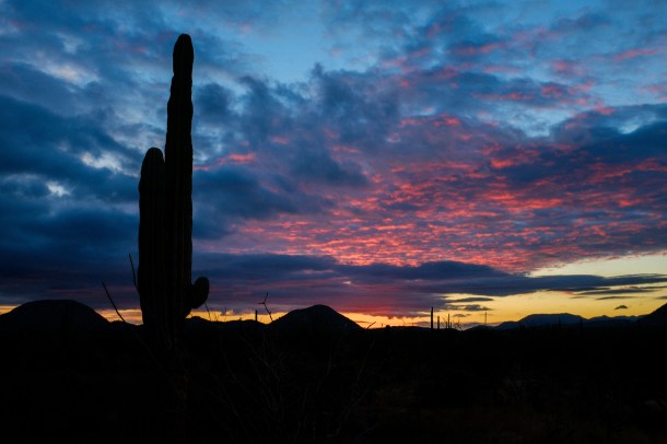 160115_BLA-Guerro_HR-48